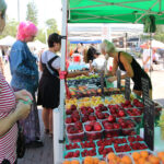 Streetsville Summer Market Vendor List 2023